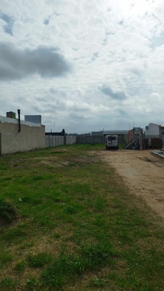 LOTE DE 12,5 X 50 MTS.