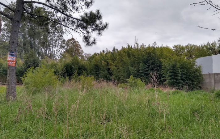 Terreno en venta 